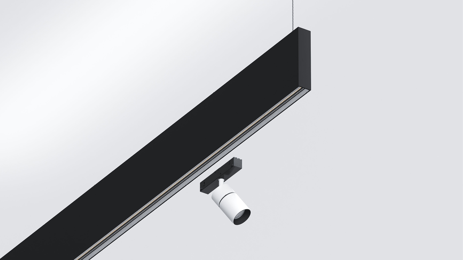 Traceline - Deep Pendant Direct/Indirect - Track 48V | Reggiani ...