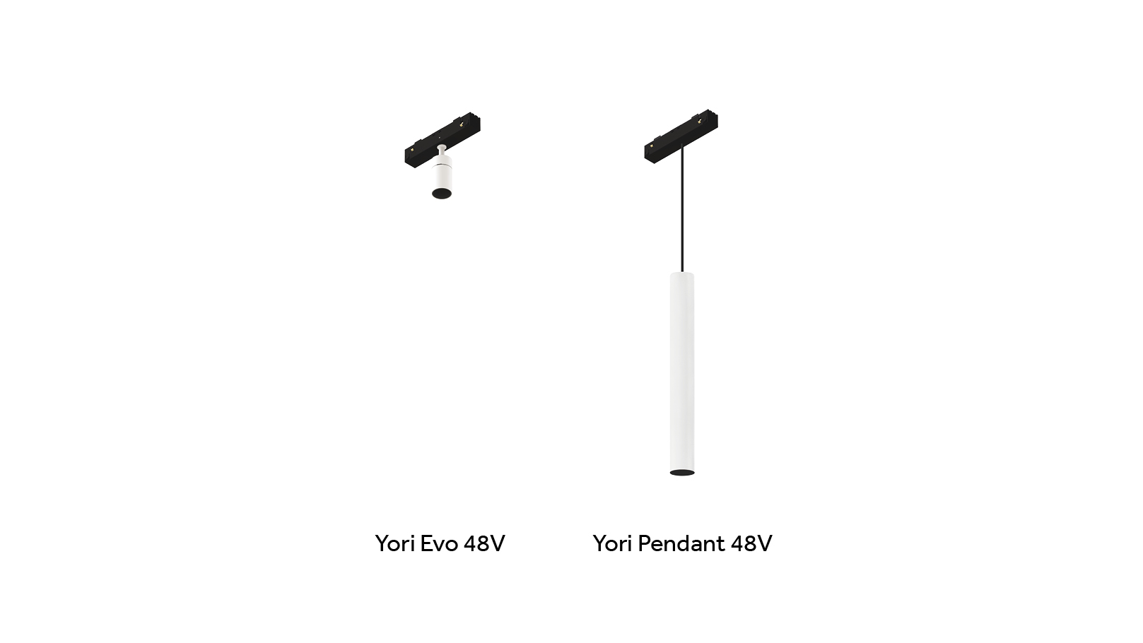 Traceline - Deep Pendant Direct/Indirect - Track 48V | Reggiani ...