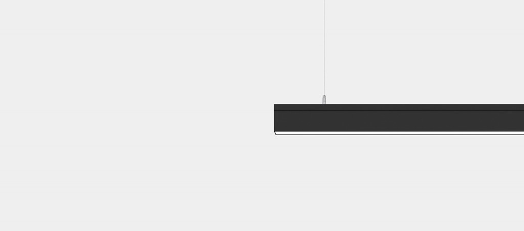 Reggiani Yori Suspended Linear System